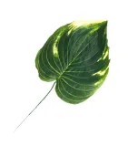 sztuczne-liscie-lisc-filodendron-galazka-do-wiazanek-kompozycji-12-sztuk-stan-nowy