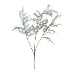 ruskus-z-owockami-szary-galazka-81cm