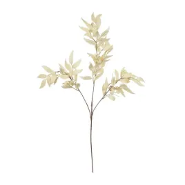ruskus-z-owockami-kremowy-galazka-81cm