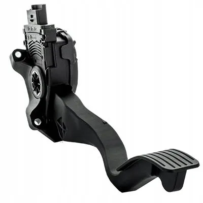 pedal-gazu-citroen-c2-14-06-