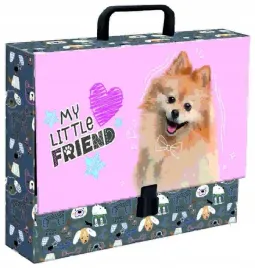 teczka-z-raczka-a4-xl-my-little-friend