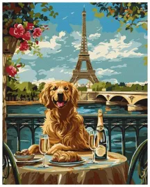 malowanie-po-numerach-retriever-w-paryzu-40x50cm