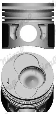 tlok-87-114907-25-nur