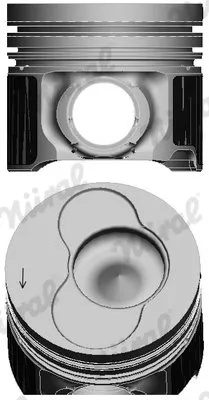tlok-87-421007-20-nur
