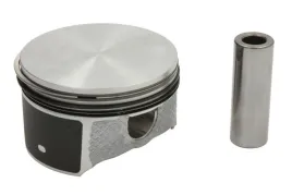 tlok-87-429407-00-nur