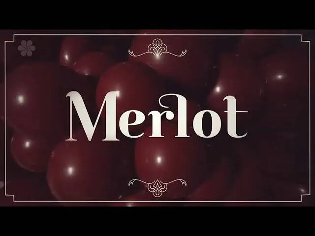 balony-sempertex-solid-12-cali-50-szt-merlot