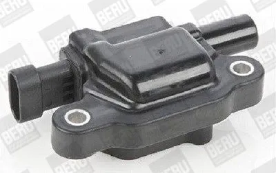 cewka-zaplonowa-zse159-ber-producent-czesci-beru