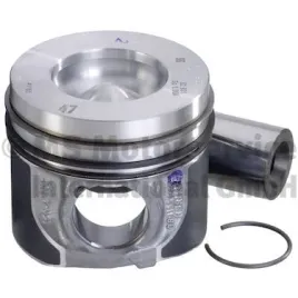 tlok-41165600-kbs
