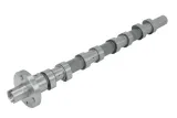 walek-rozrzadu-50007923-kbs