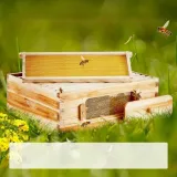 ul-drewniany-sredni-10-ramek-kod-producenta-vevor
