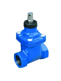 norson-zasuwa-gwintowana-dn-32-5-4-pn-10-uszczelnienie-gumowe