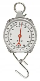 uchylna-waga-wskazowkowa-250kg-vv1033