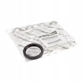 fiat-oe-55240668-pierscien-uszczelniajacy-walu-wal-skrzyni-biegow