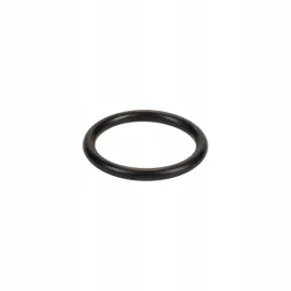 uszczelka-oring-czujnika-predkosci-fiat-scudo-ori-fiat-ducato-typ-230-244