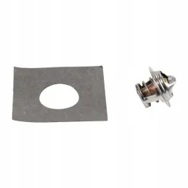 termostat-valeo-peugeot-j5-25-d-td