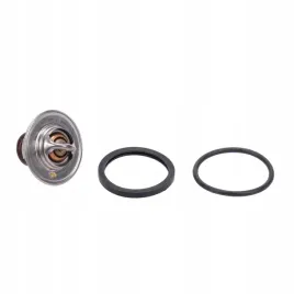 termostat-fiat-ducato-typ-280-290-230-244-25-28d