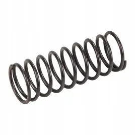 sprezyna-w-pompie-serwo-fiat-barchetta-brava-o-coupe-croma-marea-palio-punt