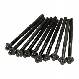 victor-reinz-sruby-glowicy-citroen-16