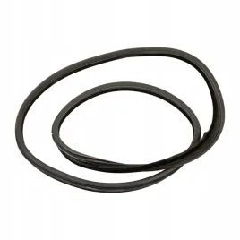 uszczelka-drzwi-lewy-tyl-fiat-stilo-46763120-oe