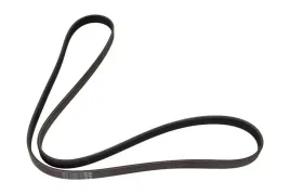 pasek-wieloklinowy-1987947952-bos