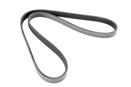 pasek-wieloklinowy-1987948498-bos