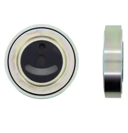 rolka-napinacza-paska-wieloklinowego-vkm66000-skf