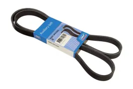 pasek-wieloklinowy-vkmv6pk1555-skf