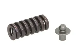 zestaw-montazowy-pompowtryskiwacza-pde-f00h4s0008-bos