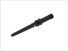 wtryskiwacz-f00rj01919-bos