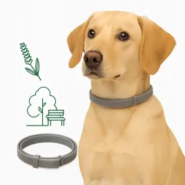 naturalna-obroza-zapachowa-dla-psa-relaksacyjna