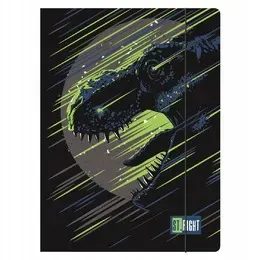 teczka-z-gumka-a4-300-g-m2-dinosaur