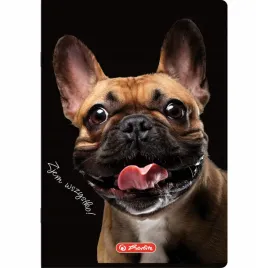 zeszyt-herlitz-crazy-animal-a4-60k-kratka-z-marginesem