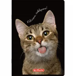 zeszyt-herlitz-crazy-animal-a5-60k-kratka-z-marginesem