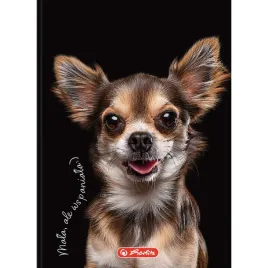 brulion-herlitz-crazy-animal-a6-80k-kratka