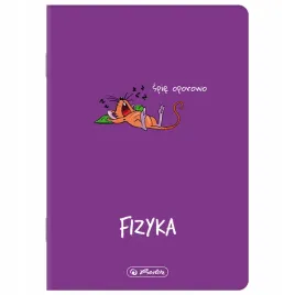 zeszyt-tematyczny-60-kartek-kratka-fizyka-eco-pp-herlitz-9500080