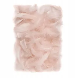 piorka-5-12-cm-10-g-nude-dalprint