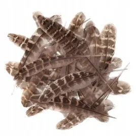 piora-kacze-15-20-cm-5-g-dalprint