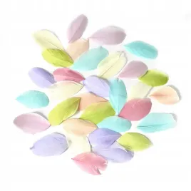 piora-gesie-6-cm-5-g-pastel-dalprint