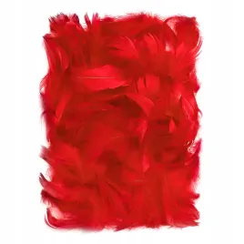 piorka-5-12-cm-10-g-czerwone-dalprint