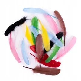 piora-gesie-16-cm-20-szt-multikolor-dalprint