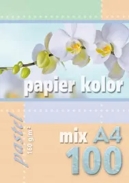 papier-ksero-kolor-a4-100-arkuszy-160-g-mix-5-kolorow-pastelowych-kreska