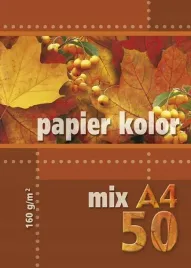 papier-ksero-kolor-a4-50-arkuszy-160-g-mix-5-kolorow-kreska