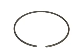 pierscien-zabezpieczajacy-0730513595zf
