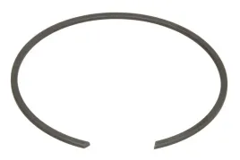 pierscien-zabezpieczajacy-korpusu-synchronizatora-0730513744zf