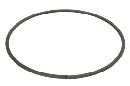 pierscien-zabezpieczajacy-0730513906zf