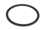 oring-0734307170zf