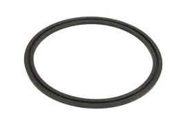 oring-0734307170zf