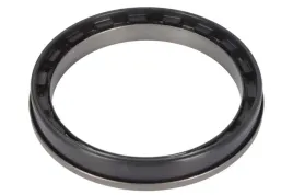 uszczelniacz-zwrotnicy-0734309379zf