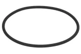 oring-0734313790zf
