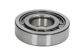 lozysko-mech-skrzyni-biegow-0750118001zf